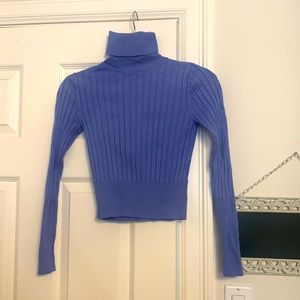 Zara cropped ribbed turtleneck